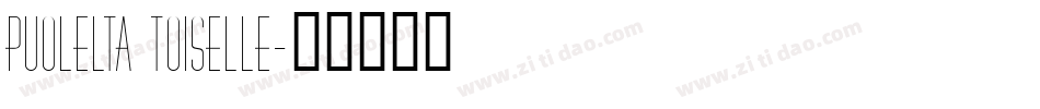 Puolelta toiselle字体转换
